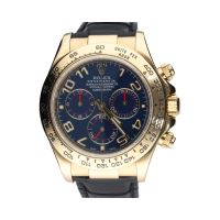 Daytona oro amarillo cuero esfera azul.   