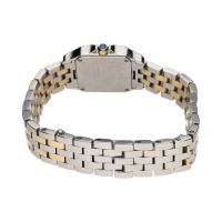 Demoiselle acero y oro señora 20mm.   